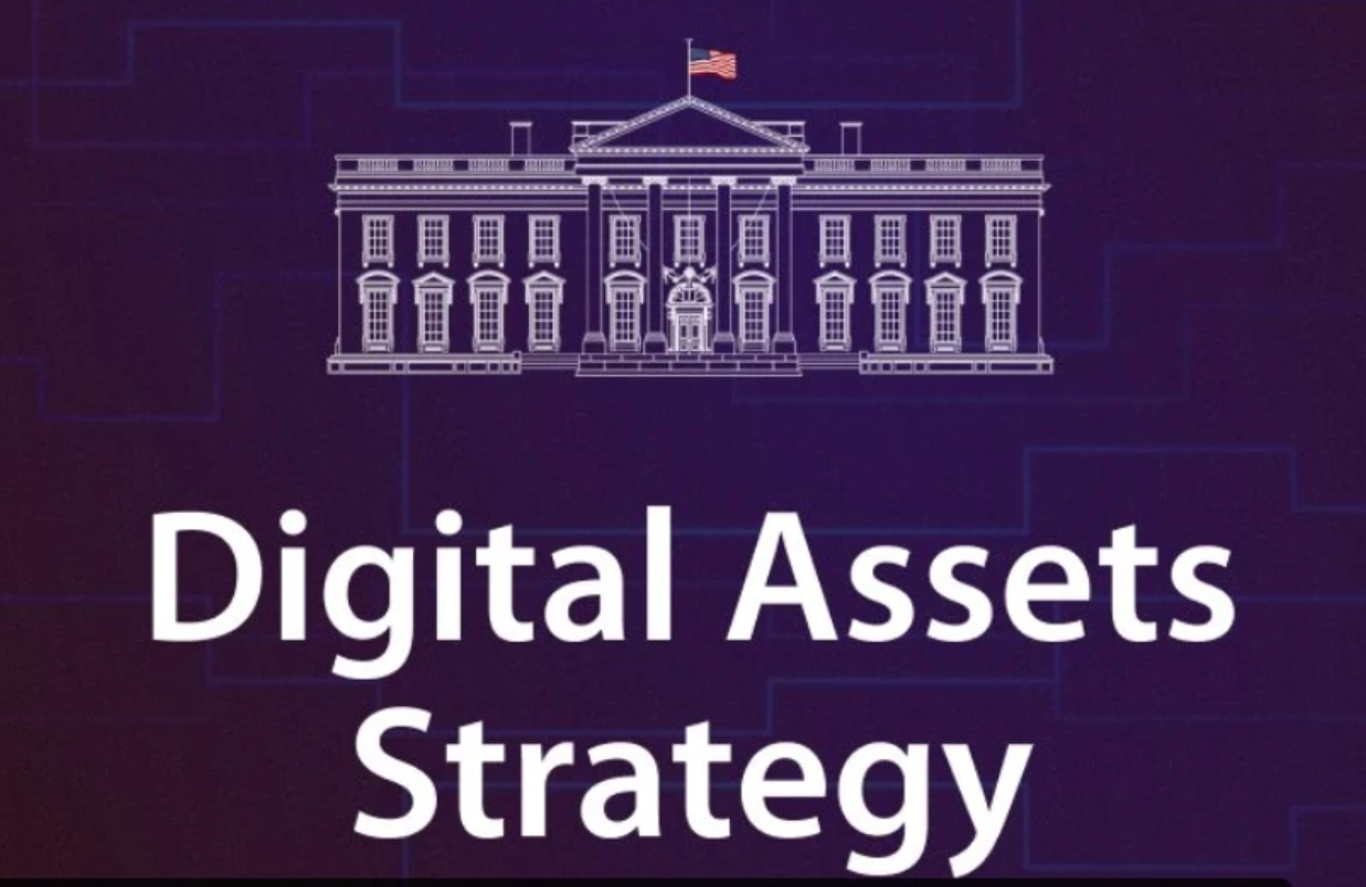 币尔交易所安全吗