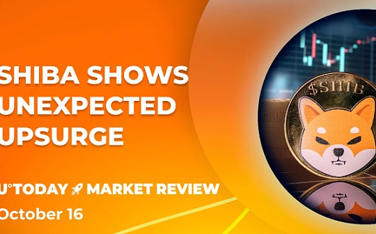 币圈的牛市是哪几年