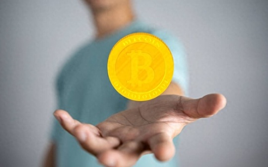 vitex交易所怎么突然异常了