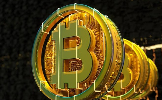 alpaca币会涨到100元吗