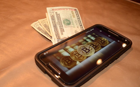 币圈新人喜欢看的内容怎么看 币圈新人喜欢看的内容怎么看