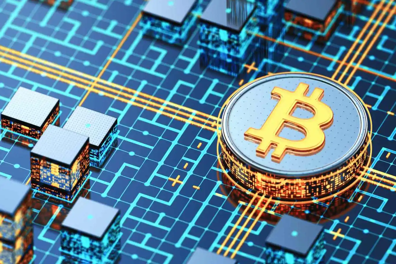 币圈交易规则是什么