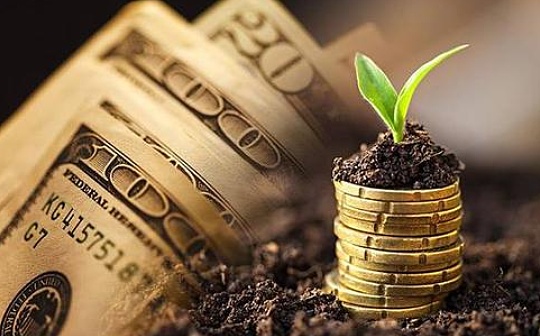 fr是什么国家的钱币