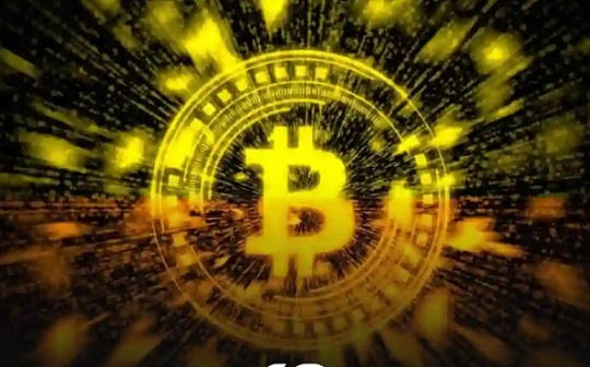 reef币是什么币