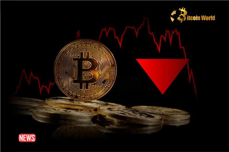 btc有多少个地址上面有币